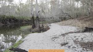 [Movie: Test site, Langdale Park near Boat Ramp, Withlacoochee River, 2026:01:18 17:46:59, 30.8875943, -83.3241279 (25M) --jsq for WWALS]