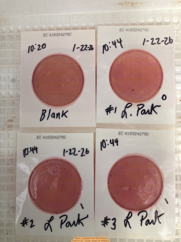 Plates, Langdale Park Boat Ramp 2026-01-22 --Cindy Vedas for WWALS