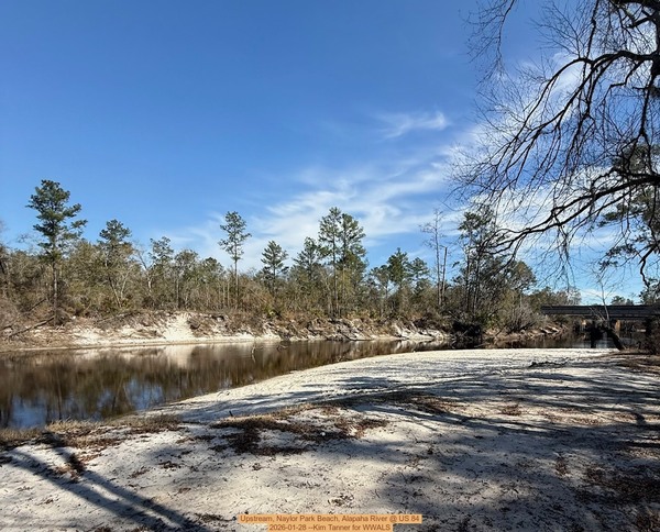 Upstream, Naylor Park Beach, Alapaha River @ US 84 2026-01-28 --Kim Tanner for WWALS