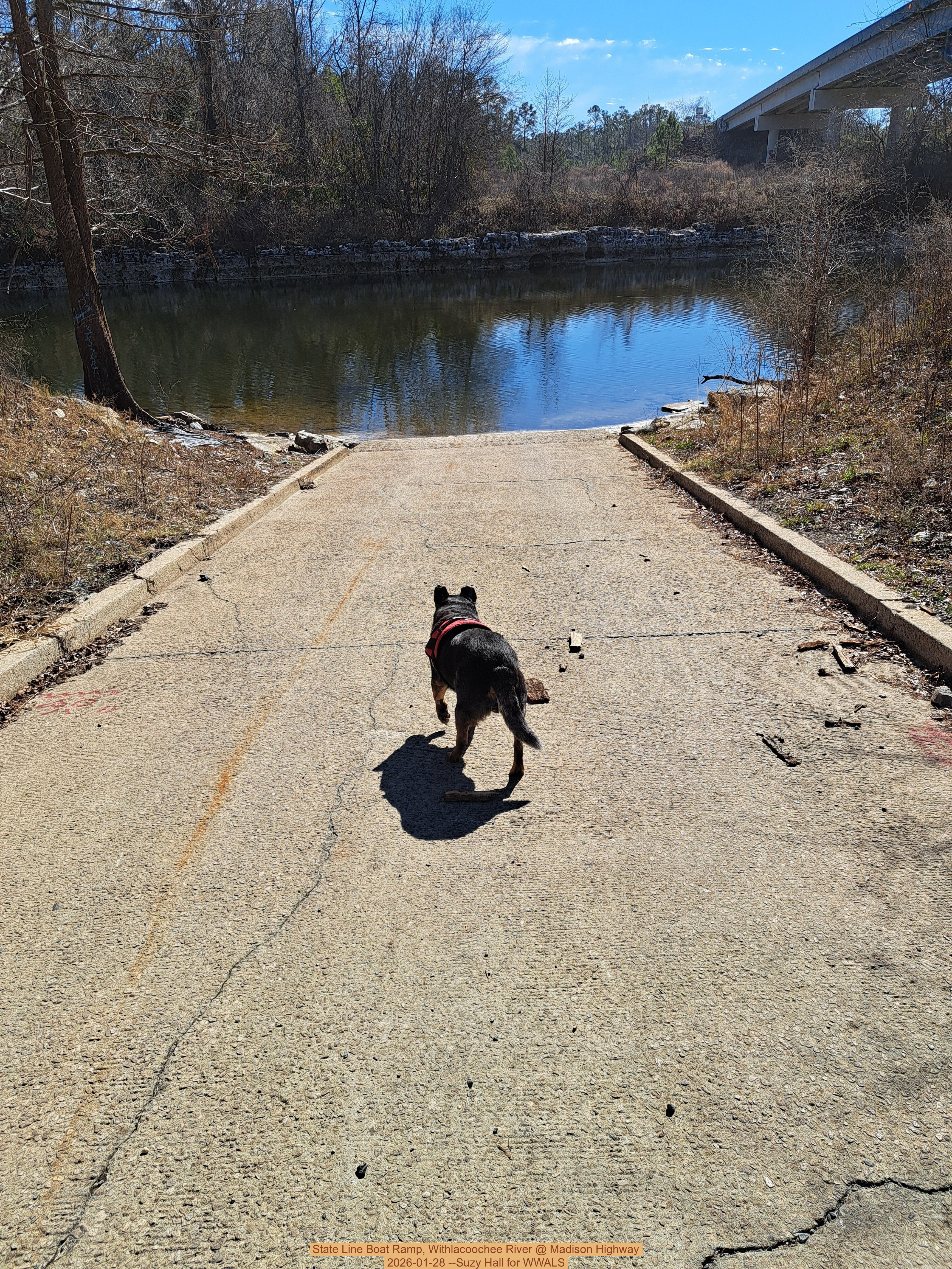State Line Boat Ramp, Withlacoochee River @ Madison Highway 2026-01-28 --Suzy Hall for WWALS