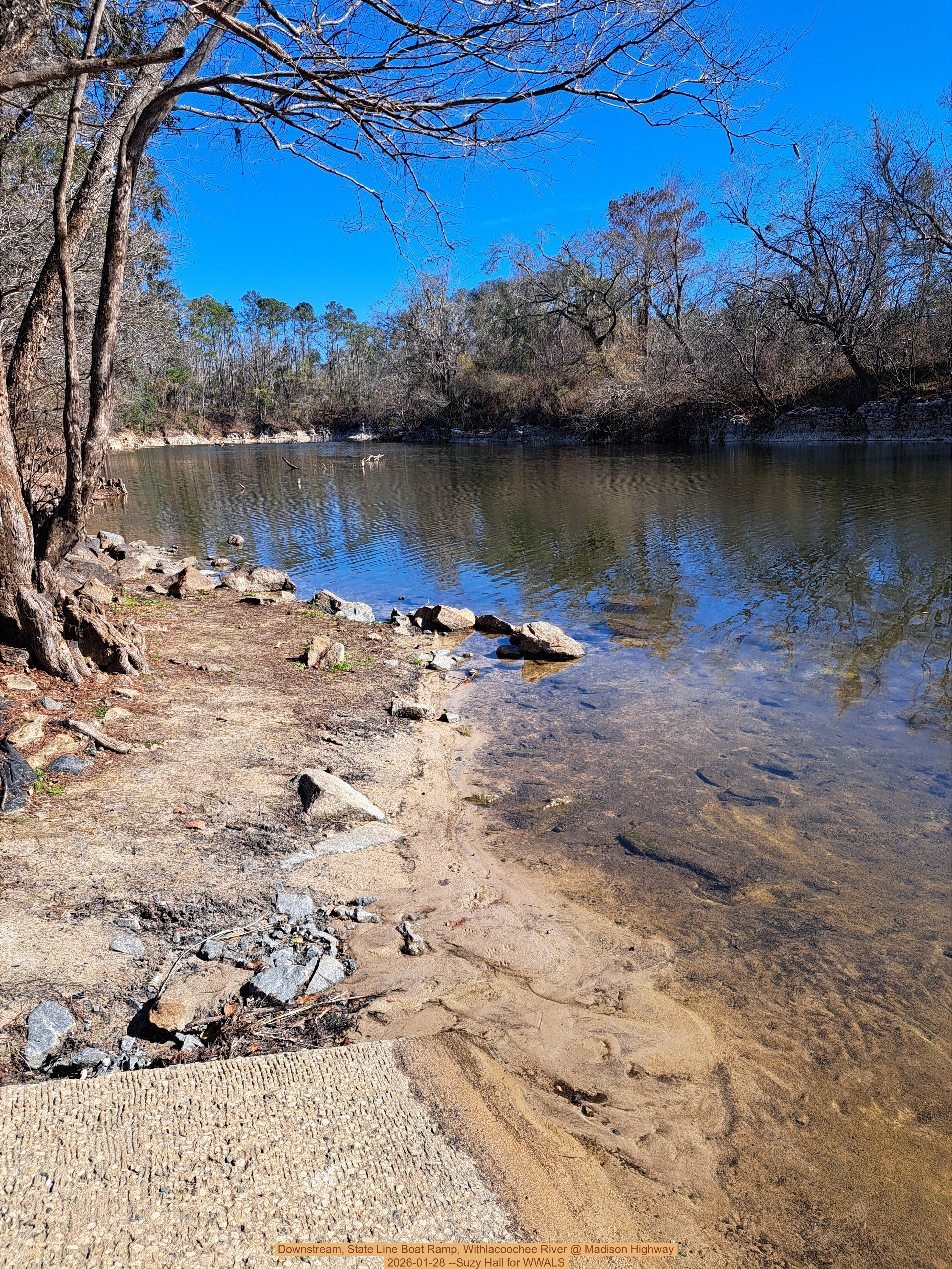 Downstream, State Line Boat Ramp, Withlacoochee River @ Madison Highway 2026-01-28 --Suzy Hall for WWALS