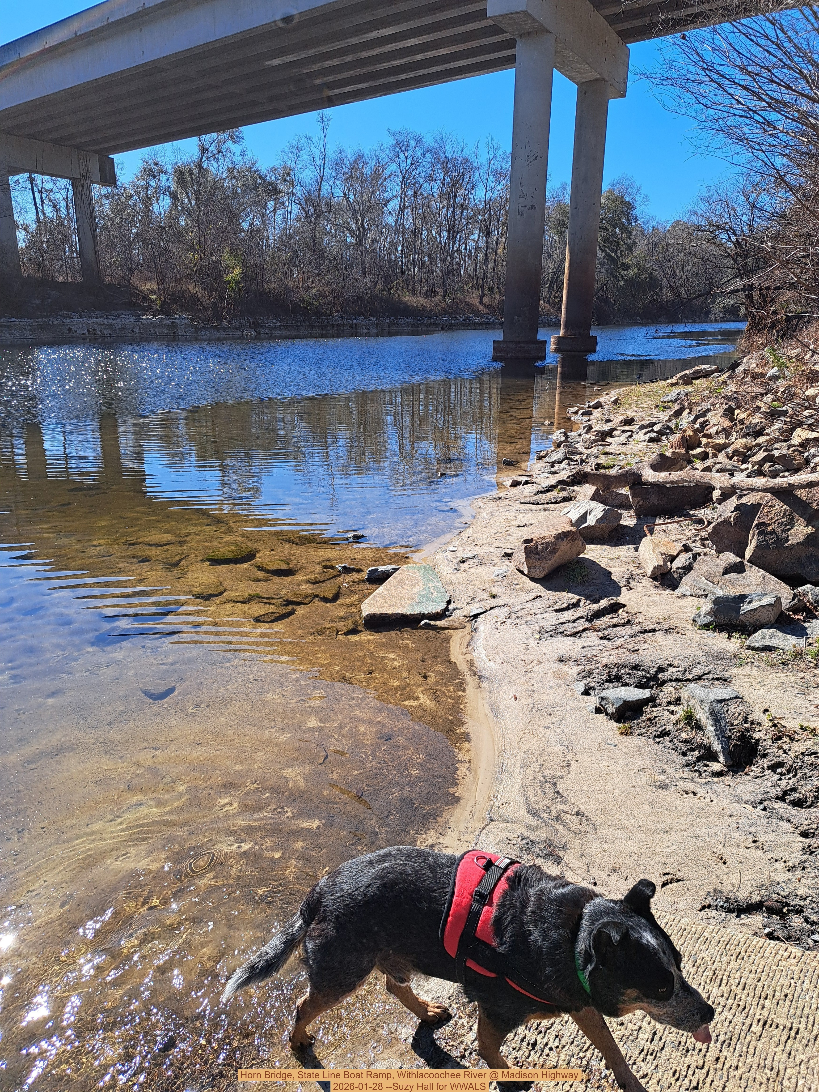 Horn Bridge, State Line Boat Ramp, Withlacoochee River @ Madison Highway 2026-01-28 --Suzy Hall for WWALS