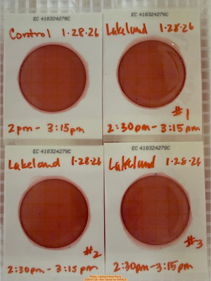 [Plates, Lakeland Boat Ramp 2026-01-28 --Kim Tanner for WWALS]