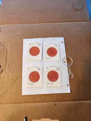 [Plates, Mills Dock 2026-01-29 --Bob Mills and Kurt Hurzeler for WWALS]