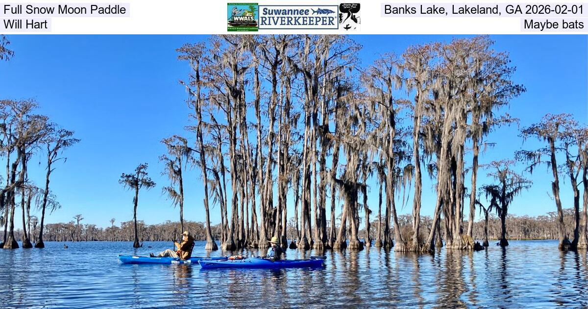 Full Snow Moon Paddle, Banks Lake, Lakeland, GA 2026-02-01, Will Hart, Maybe bats