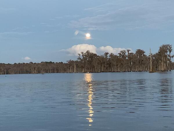 [Full moon in daylight --Shirley Kokidko for WWALS]