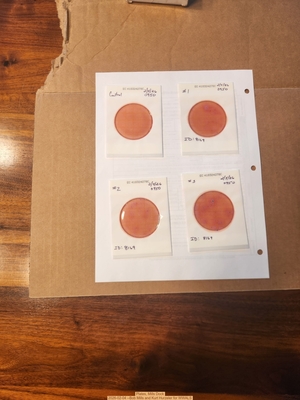 [Plates, Mills Dock 2026-02-04 --Bob Mills and Kurt Hurzeler for WWALS]