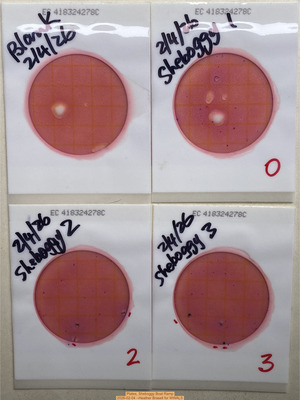 [Plates, Sheboggy Boat Ramp 2026-02-04 --Heather Brasell for WWALS]