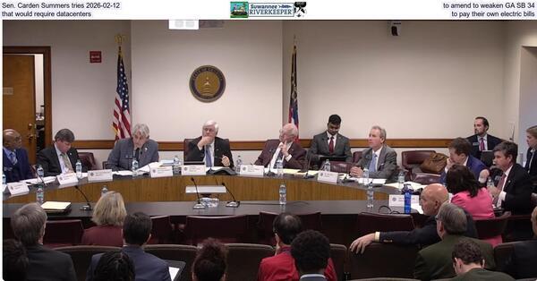 [Sen. Carden Summers tries 2026-02-12, to amend to weaken GA SB 34, that would require datacenters to pay their own electric bills]