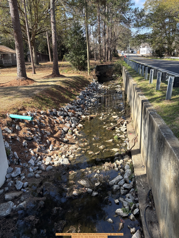 [716 18th Street, Tifton, GA, New River of Withlacoochee @ 18th Street 2026-02-10 --Isis Swartz for WWALS]