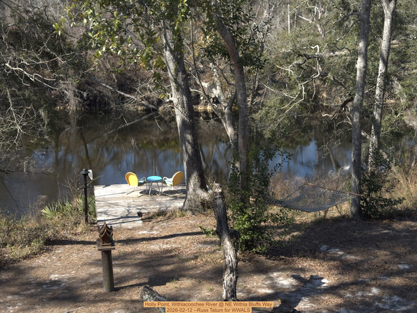 [Holly Point, Withlacoochee River @ NE Withla Bluffs Way 2026-02-12 --Russ Tatum for WWALS]