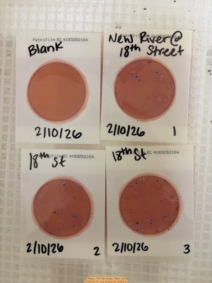 [Plates, 716 18th Street, Tifton, GA 2026-02-10 --Isis Swartz for WWALS]