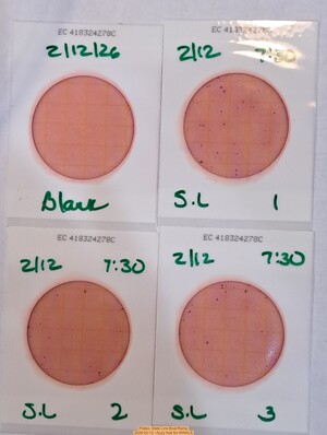 [Plates, State Line Boat Ramp 2026-02-12 --Suzy Hall for WWALS]