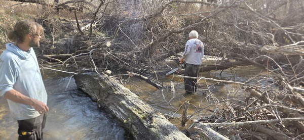 [Another fine mess, 2026:02:14 15:10:50, 30.8638838, -83.3209138]