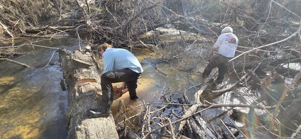 David and Phil sawing, 2026:02:14 15:16:44, 30.8638741, -83.3210036