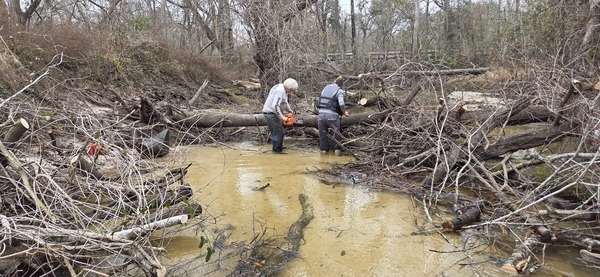 [Phil Hubbard using the Husqvarna to free his Stihl chainsaw, 2026:02:14 15:52:51, 30.8638882, -83.3210079]