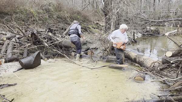 Movie: Tish Hall moving logs; Phil Hubbard sawing, 2026:02:14 15:57:42, 30.8639055, -83.3210292 (7.0M)
