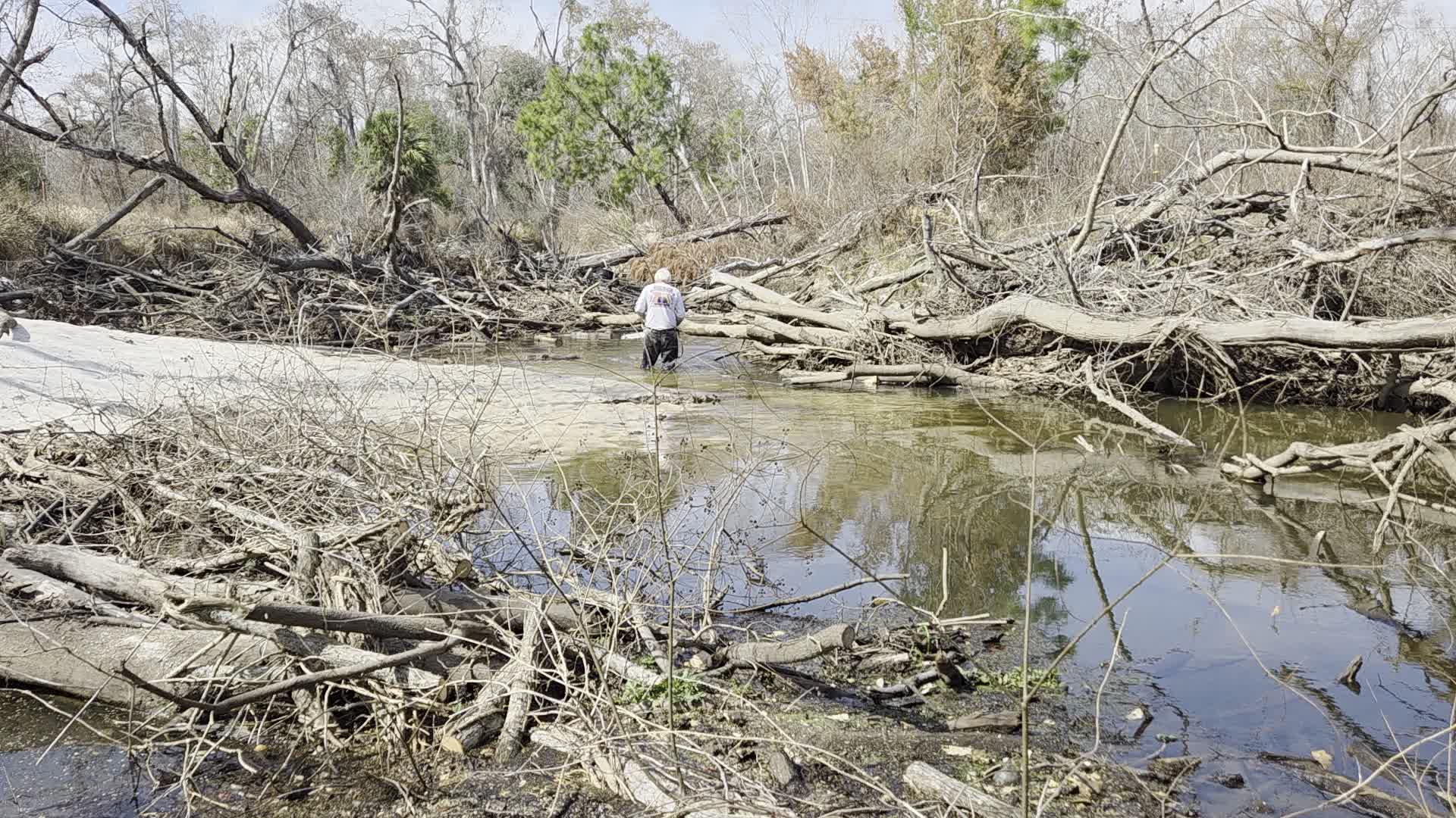 Movie: Phil Hubbard sawing down, 2026:02:14 13:02:11, 30.8633830, -83.3189377 (20M)