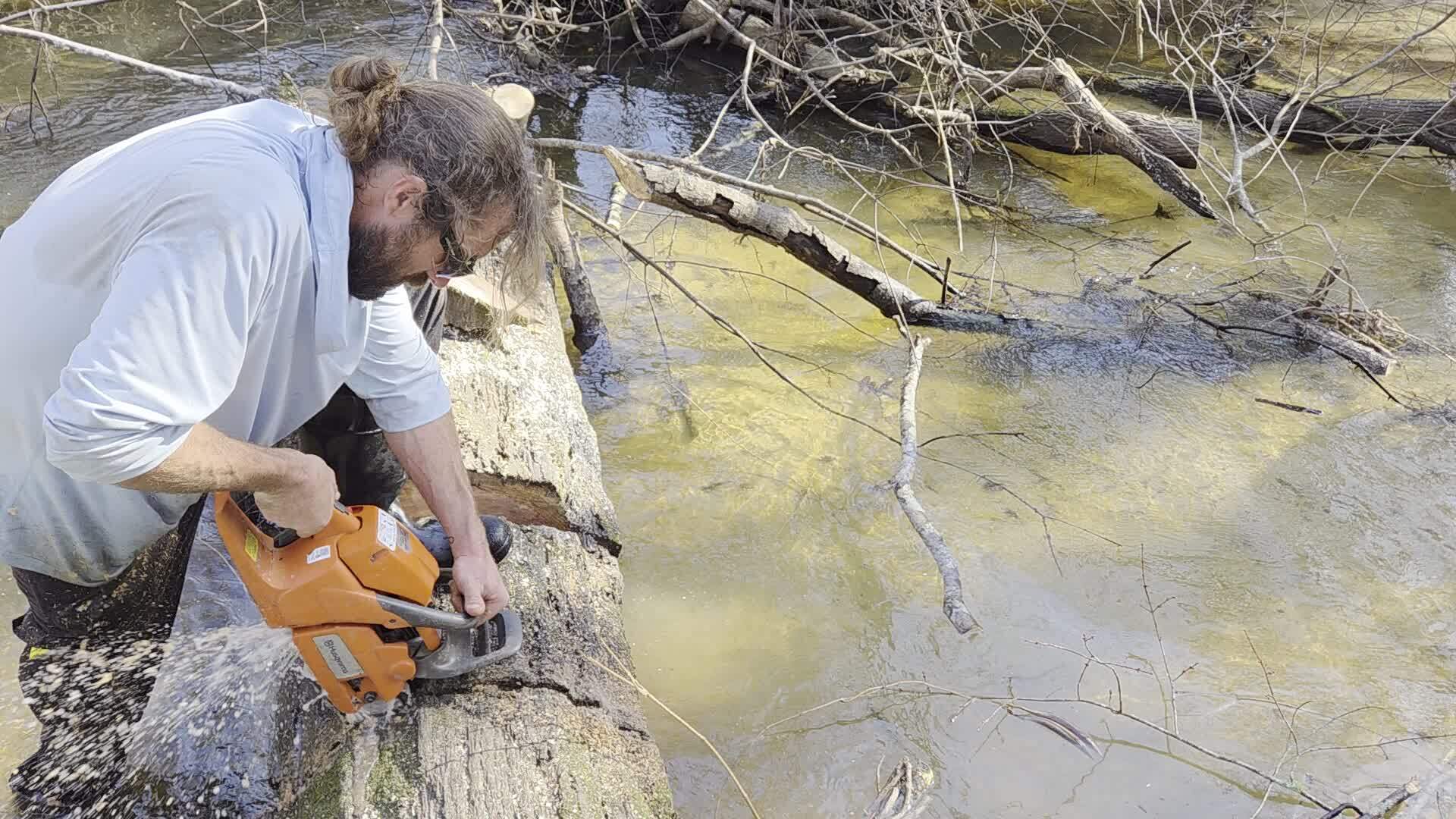 Movie: Sawing straight down, 2026:02:14 15:20:45, 30.8638127, -83.3209709 (11M)