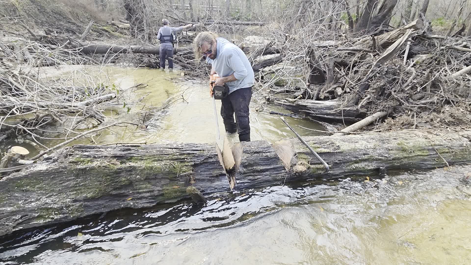 Movie: Saw from downstream, 2026:02:14 15:38:36, 30.8638855, -83.3210195 (13M)