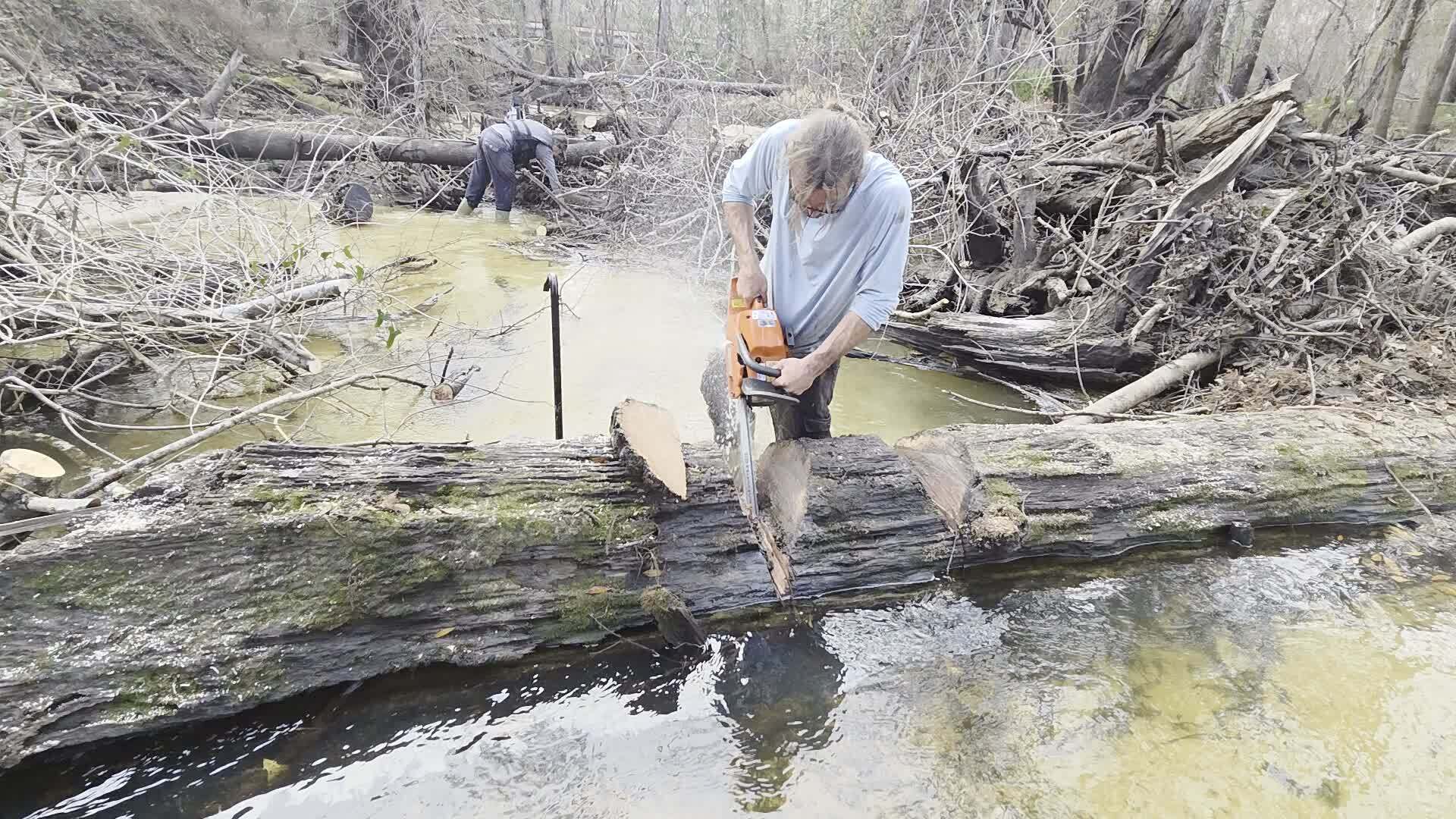 Movie: Tish gets another log, 2026:02:14 15:39:45, 30.8638855, -83.3210195 (29M)