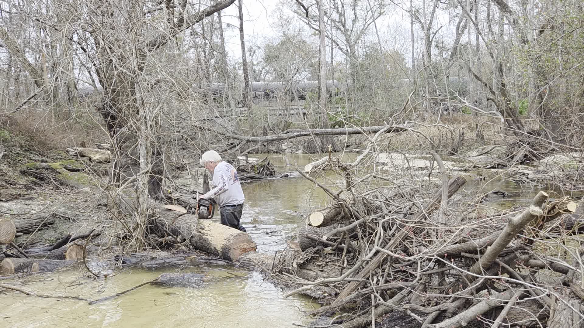 Movie: Train on the trestle, 2026:02:14 16:00:23, 30.8639055, -83.3210292 (32M)