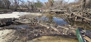 [From one deadfall to another, 2026:02:14 13:02:33, 30.8633652, -83.3188649]