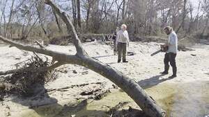 [Movie: David saws, Tish and Phil roll logs, 2026:02:14 14:29:22, 30.8642879, -83.3201194 (180M)]