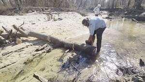 [Movie: Small enough to pick up, 2026:02:14 14:32:19, 30.8642879, -83.3201194 (10M)]