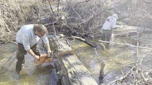 [Movie: Reverse wedge to avoid clamping saw, 2026:02:14 15:13:36, 30.8638838, -83.3209138 (12M)]