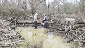 [Movie: Got the Stihl loose, 2026:02:14 15:53:04, 30.8638074, -83.3210007 (3.7M)]