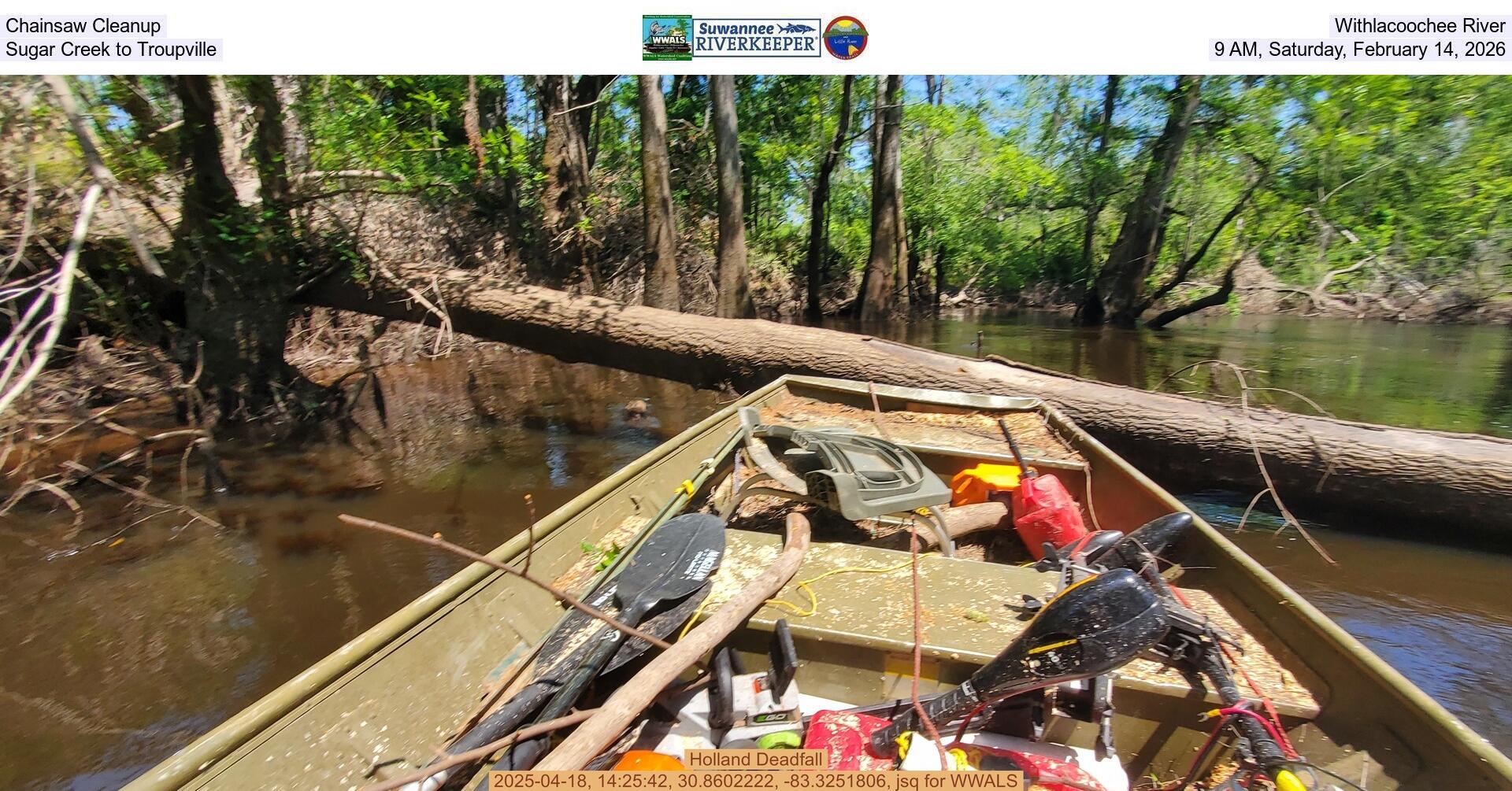 Chainsaw Cleanup, Withlacoochee River, Sugar Creek to Troupville, 9 AM, Saturday, February 14, 2026