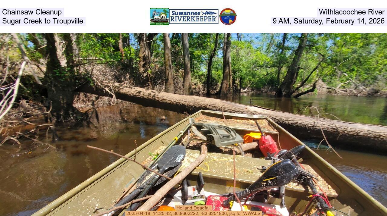 Chainsaw Cleanup, Withlacoochee River, Sugar Creek to Troupville, 9 AM, Saturday, February 14, 2026