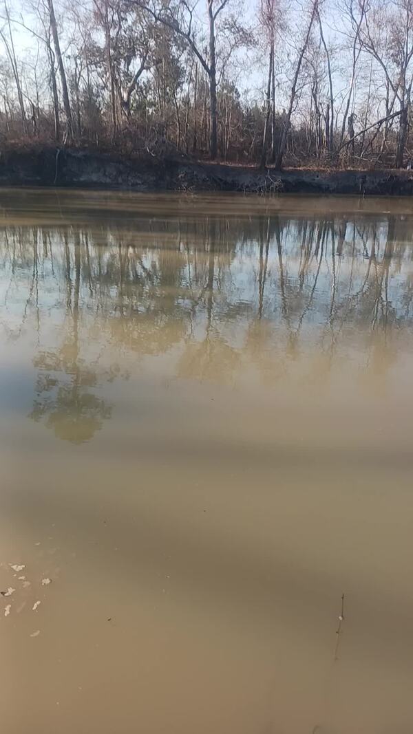 [Movie: Alapaha River @ GA 135, 2026-02-16 --Mike Paulk (54M)]