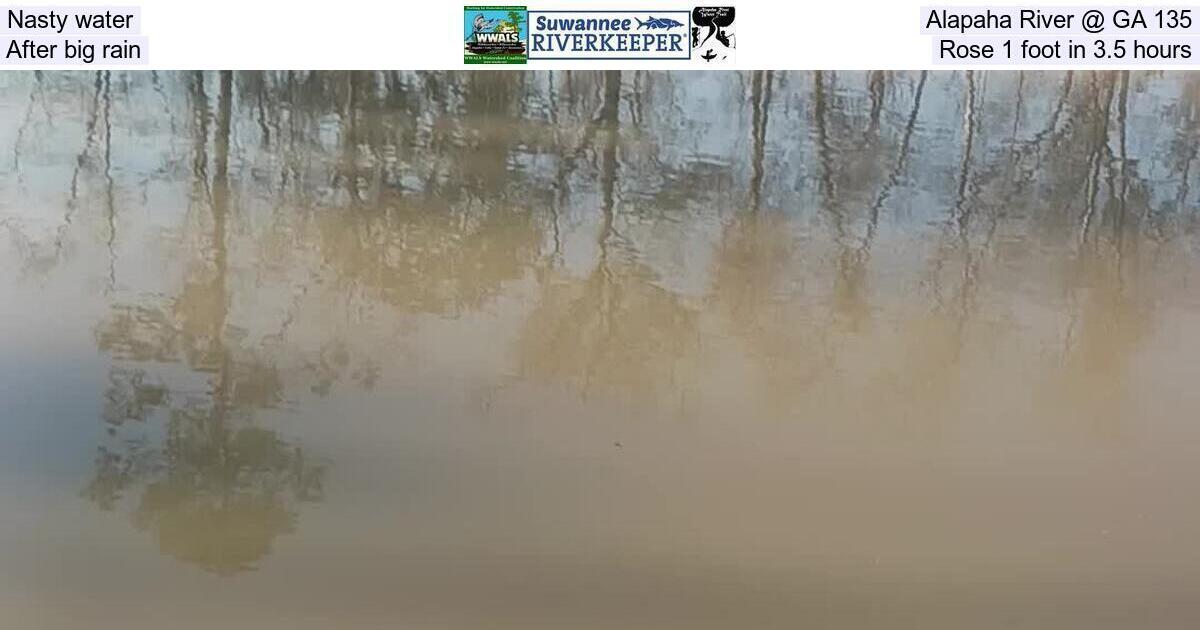 Nasty water, Alapaha River @ GA 135, After big rain, Rose 1 foot in 3.5 hours
