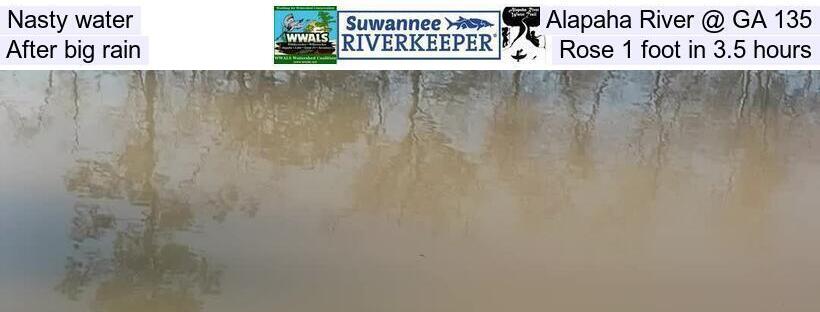 Nasty water, Alapaha River @ GA 135, After big rain, Rose 1 foot in 3.5 hours