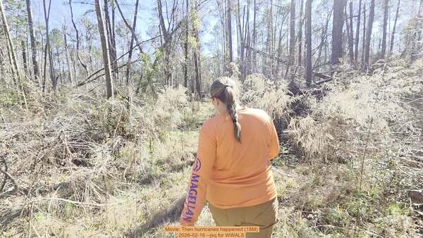 Movie: Then hurricanes happened (18M), 2026-02-16 --jsq for WWALS