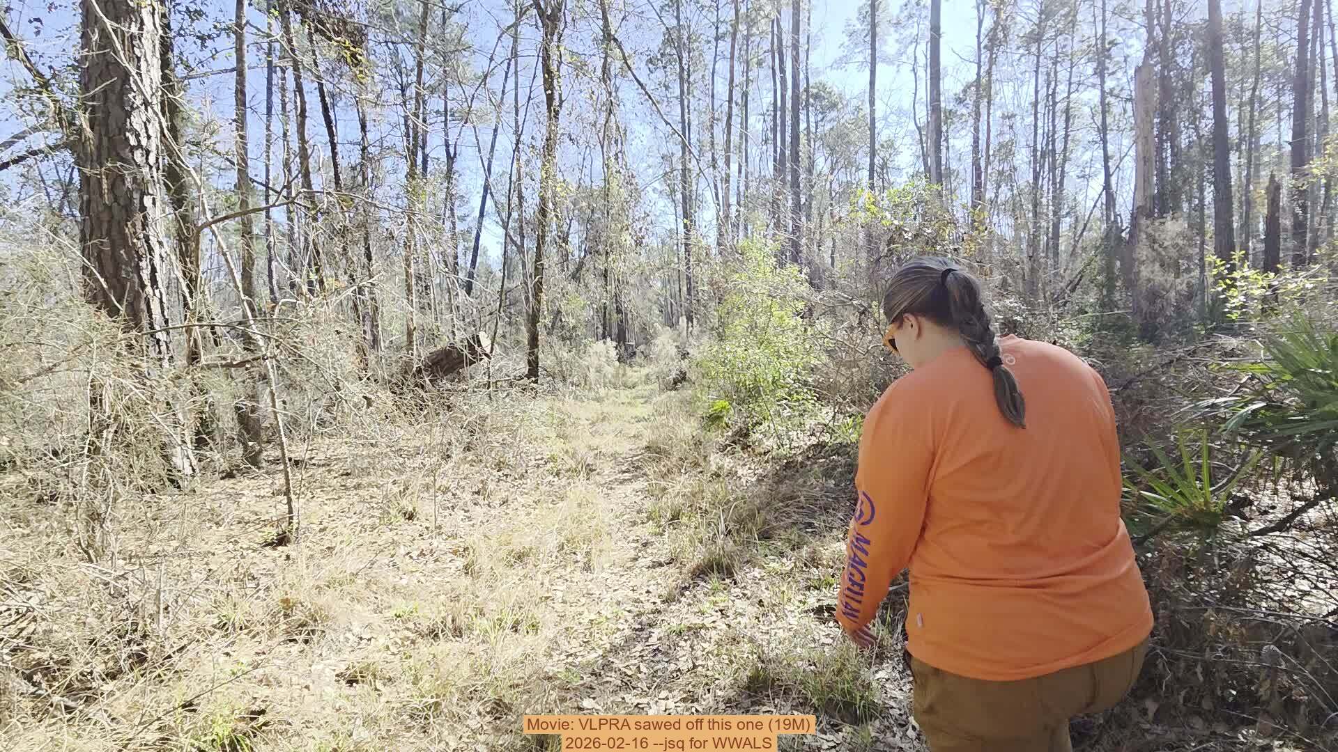 Movie: VLPRA sawed off this one (19M), 2026-02-16 --jsq for WWALS