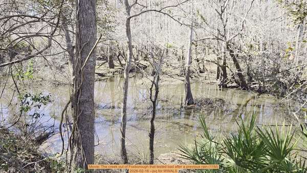 Movie: The creek out of Foxborough that tested bad after a previous rain (11M), 2026-02-16 --jsq for WWALS