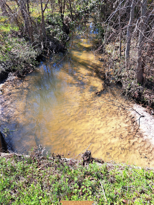 [Hightower Creek @ St. Augustine Road 2026-02-17 --Suzy Hall for WWALS]