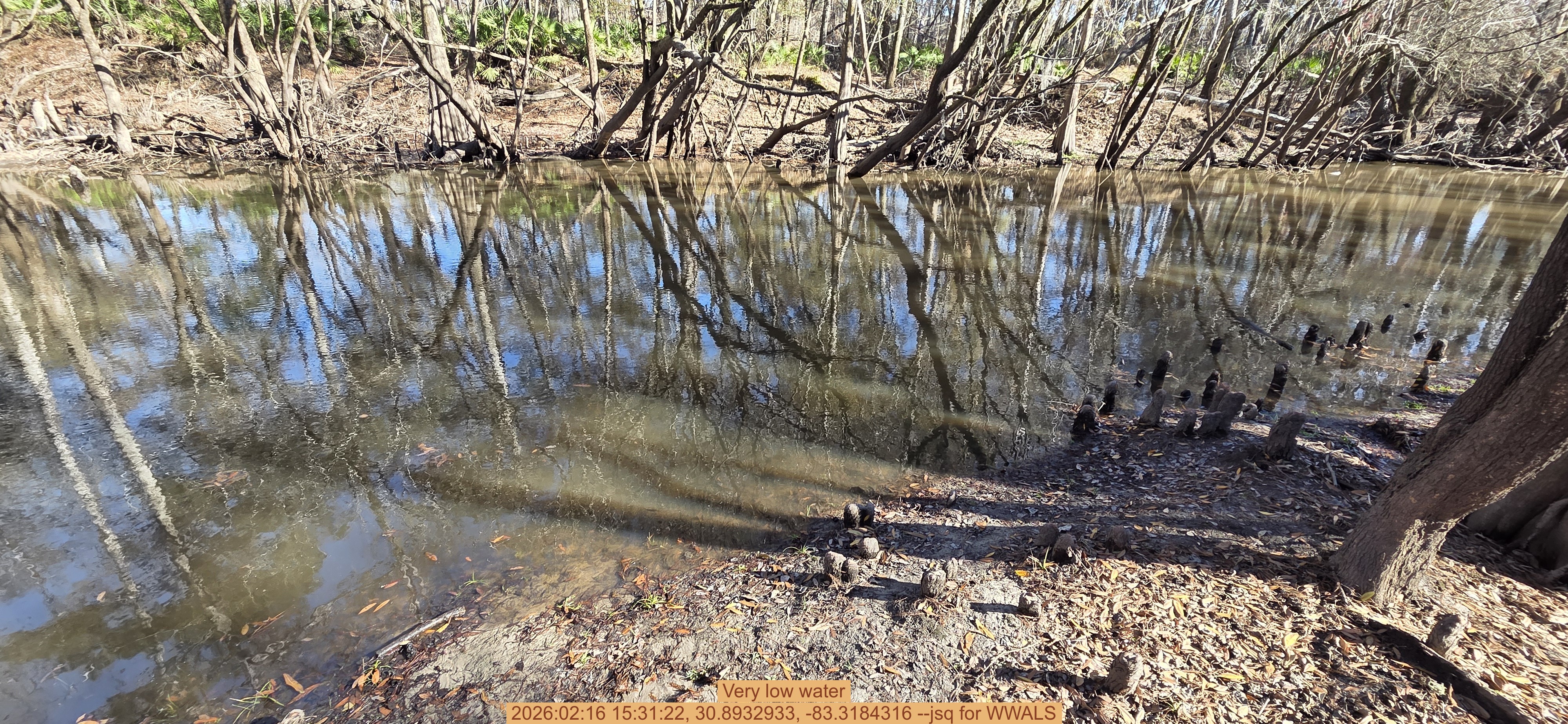 Very low water, 2026:02:16 15:31:22, 30.8932933, -83.3184316 --jsq for WWALS