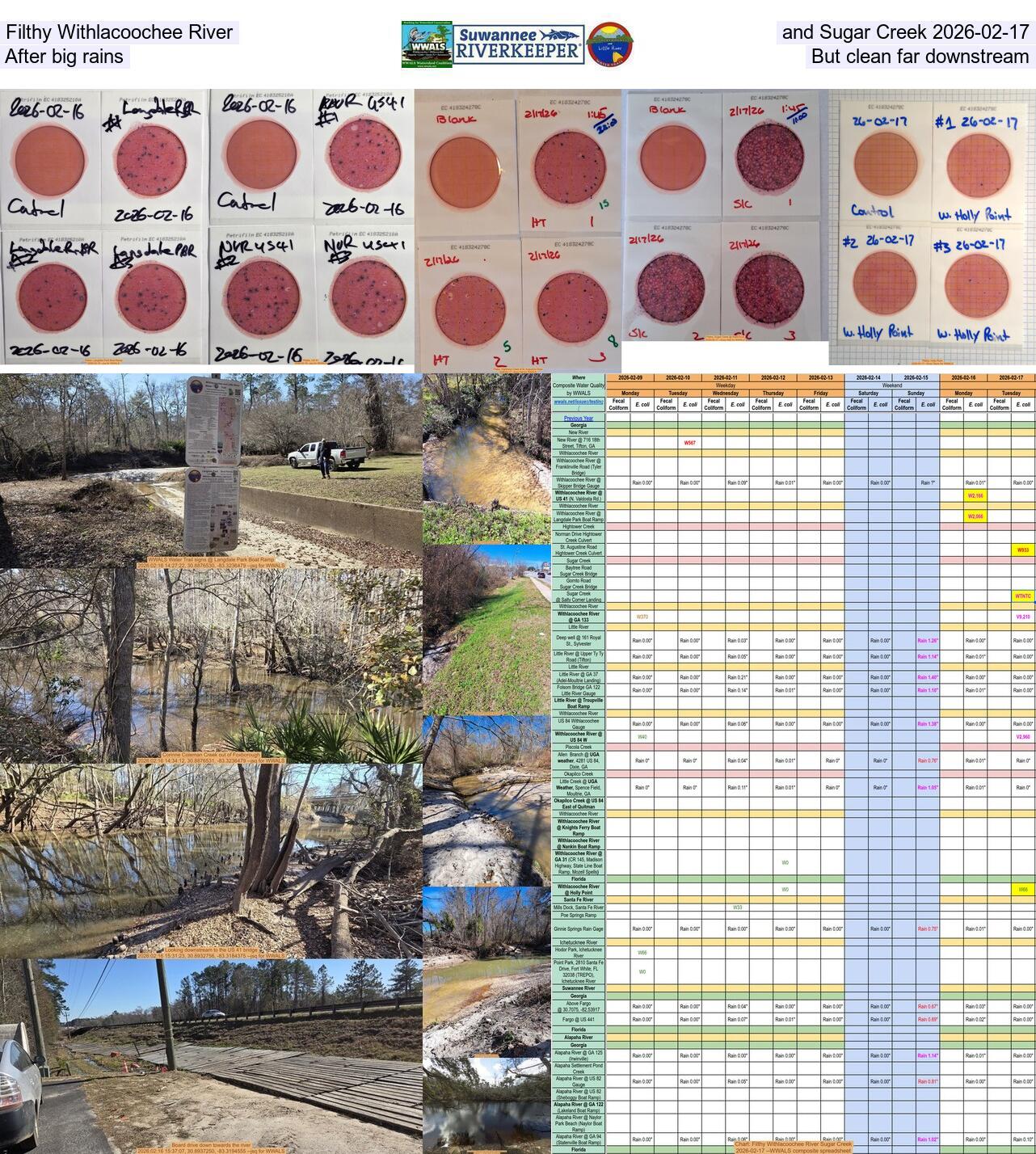 Filthy Withlacoochee River and Sugar Creek 2026-02-17, After big rains, But clean far downstream