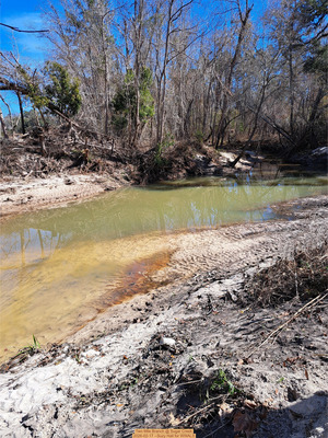 [Two Mile Branch @ Sugar Creek, 2026-02-17 --Suzy Hall for WWALS]