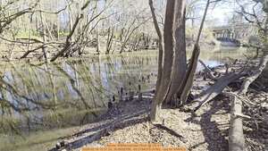 [Movie: Withlacoochee River @ US 41, 2026:02:16 15:31:30, 30.8932756, -83.3184375 (47M), --jsq for WWALS]