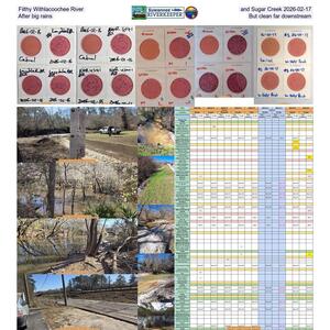 [Filthy Withlacoochee River and Sugar Creek 2026-02-17, After big rains, But clean far downstream]