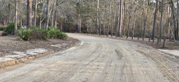 Access Road, Langdale Park Boat Ramp, Withlacoochee River @ North Valdosta Road 2026-02-19 --jsq for WWALS