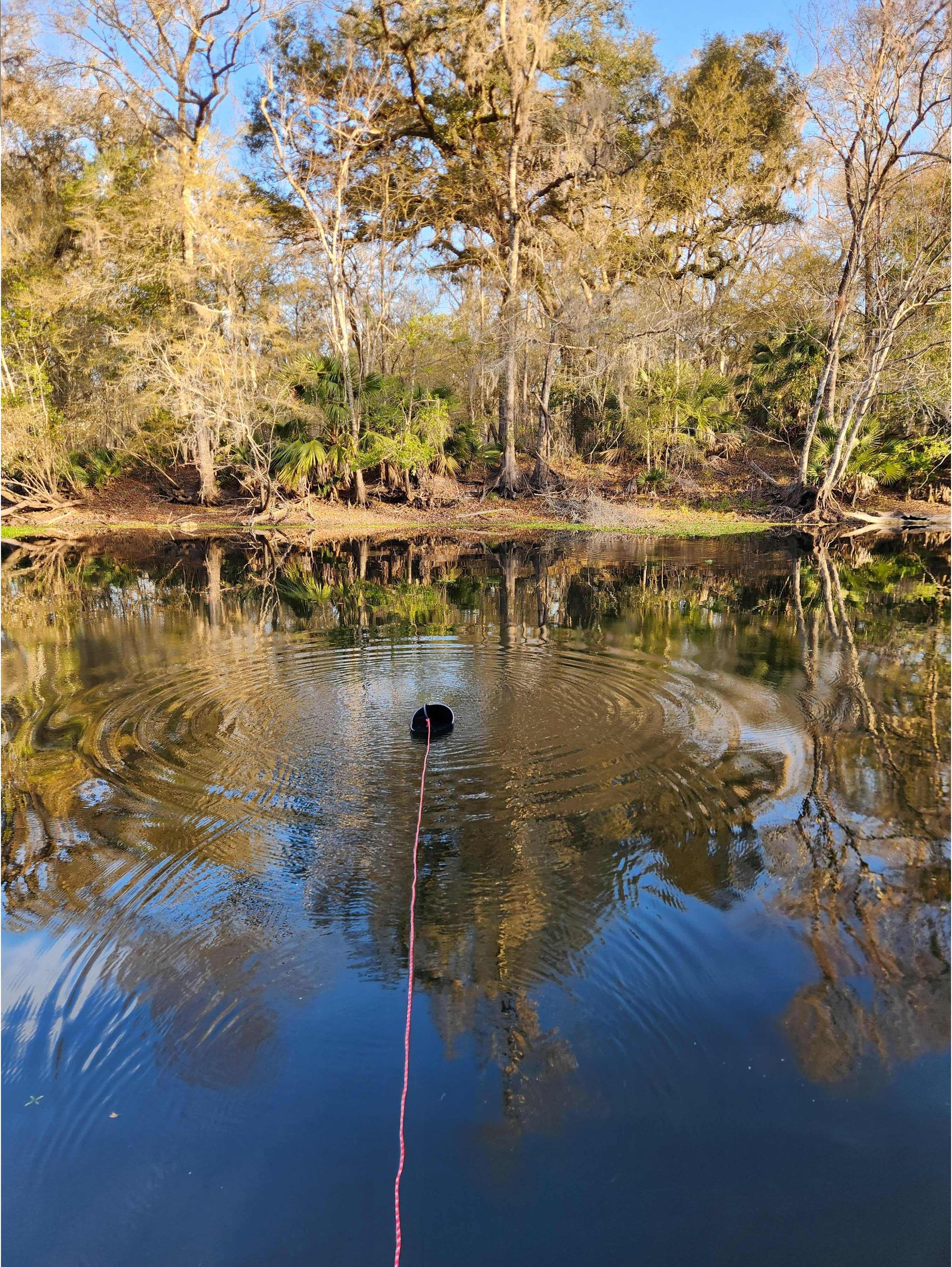 Mills Dock, Santa Fe River @ NW 282nd Dr 2026-02-18 --Bob Mills and Kurt Hurzeler for WWALS