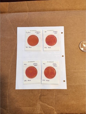 [Plates, Mills Dock 2026-02-18 --Bob Mills and Kurt Hurzeler for WWALS]