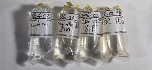 [Three samples, Withlacoochee and Little Rivers, 2026-02-19 --jsq for WWALS]