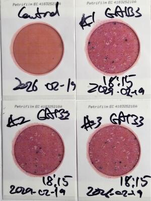 [Plates, GA 133, Withlacoochee River, 2026-02-19 --jsq for WWALS]